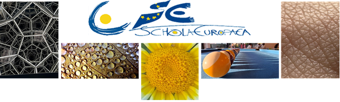 Europhotomath logo 2026 EN